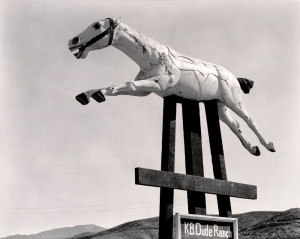 Edward Weston - Horse KB Dude Ranch (1938)