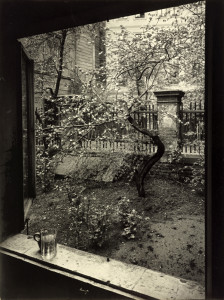 Josef Sudek - The Window of My Studio Spring in My Garden (1940-1954)