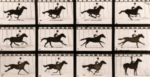 Eadweard Muybridge - The Horse in Motion (19 giugno 1878)