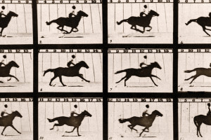 Eadweard Muybridge - The Horse in Motion (19 giugno 1878)